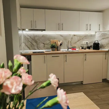 Апартаменты Carol Luxury