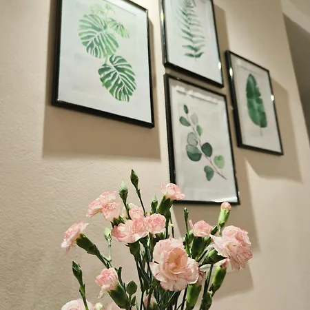 Apartament Carol Luxury