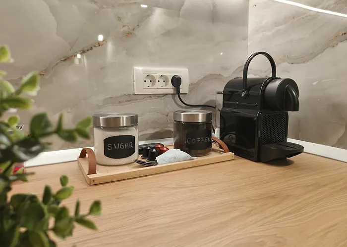 Apartament Carol Luxury *