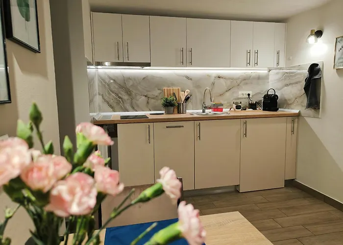 Apartament Carol Luxury