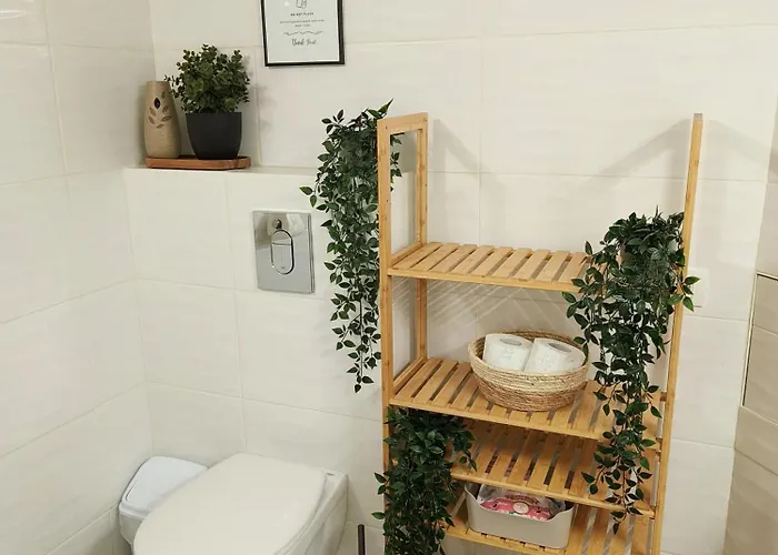 Carol Luxury * Bukareszt