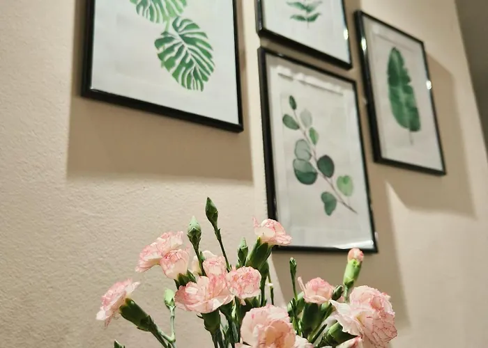 Apartamento Carol Luxury