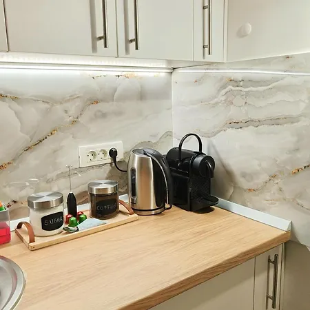 Carol Luxury Daire Bükreş